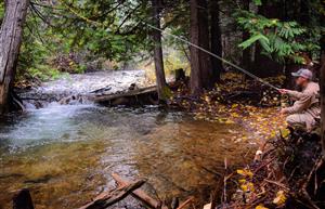 fishing small creek 